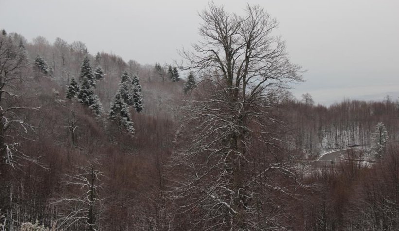 Kartepe beyaza büründü