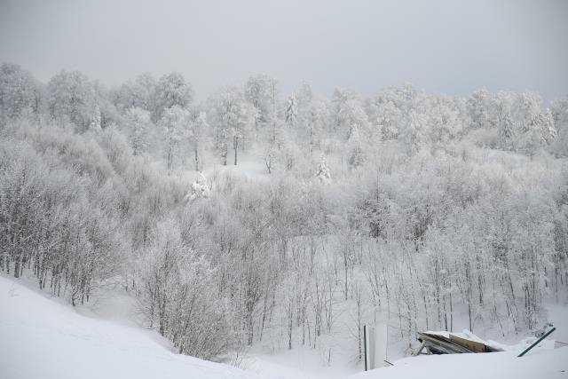 Kartepe'de kayak keyfi sürüyor
