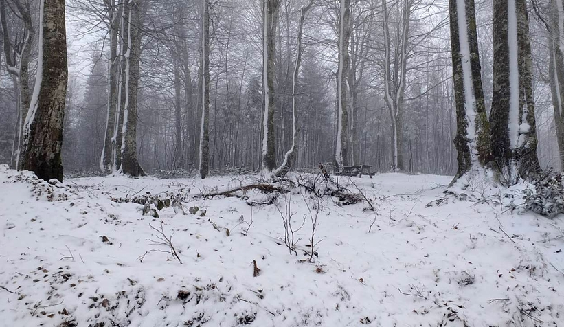 Kartepe'de yılın ilk kar yağışı başladı
