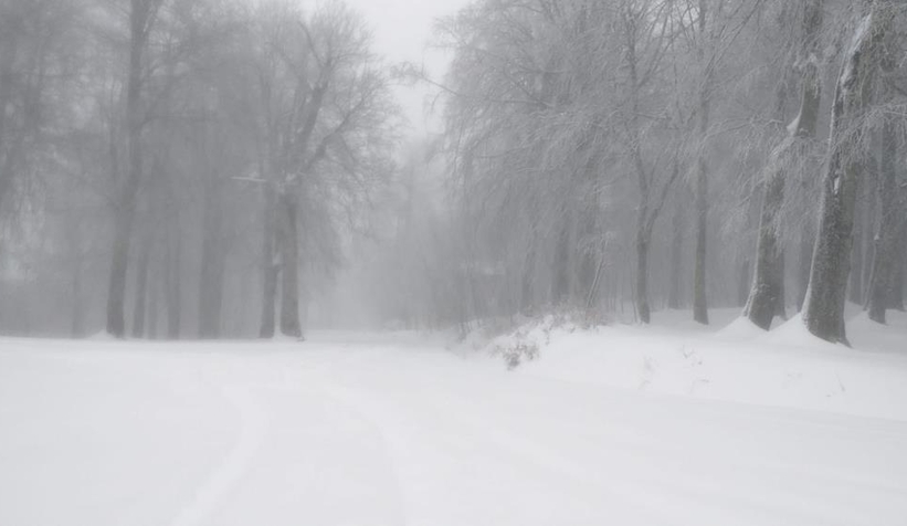 Kartepe Kayak Merkezi'nde yoğun kar yağışı