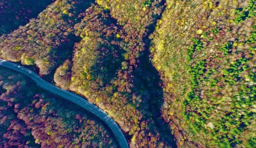 Kartepe sonbaharda rengarenk