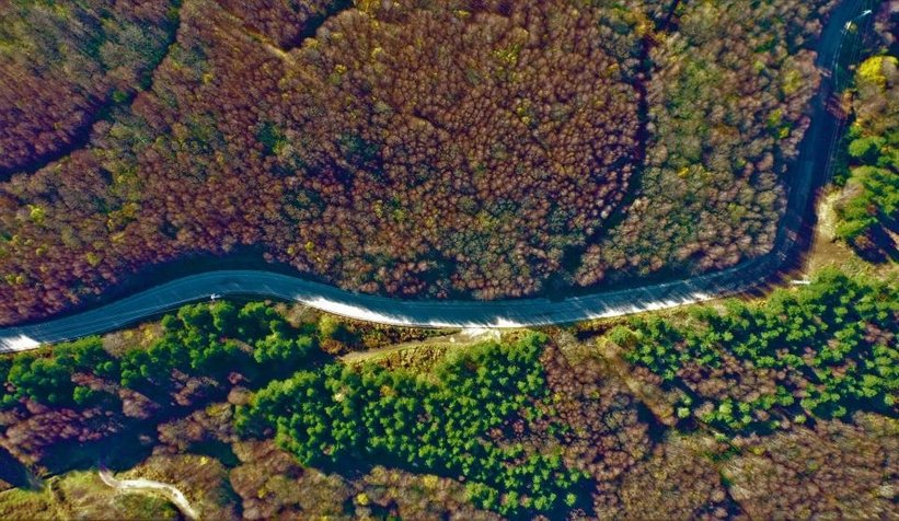 Kartepe sonbaharda rengarenk