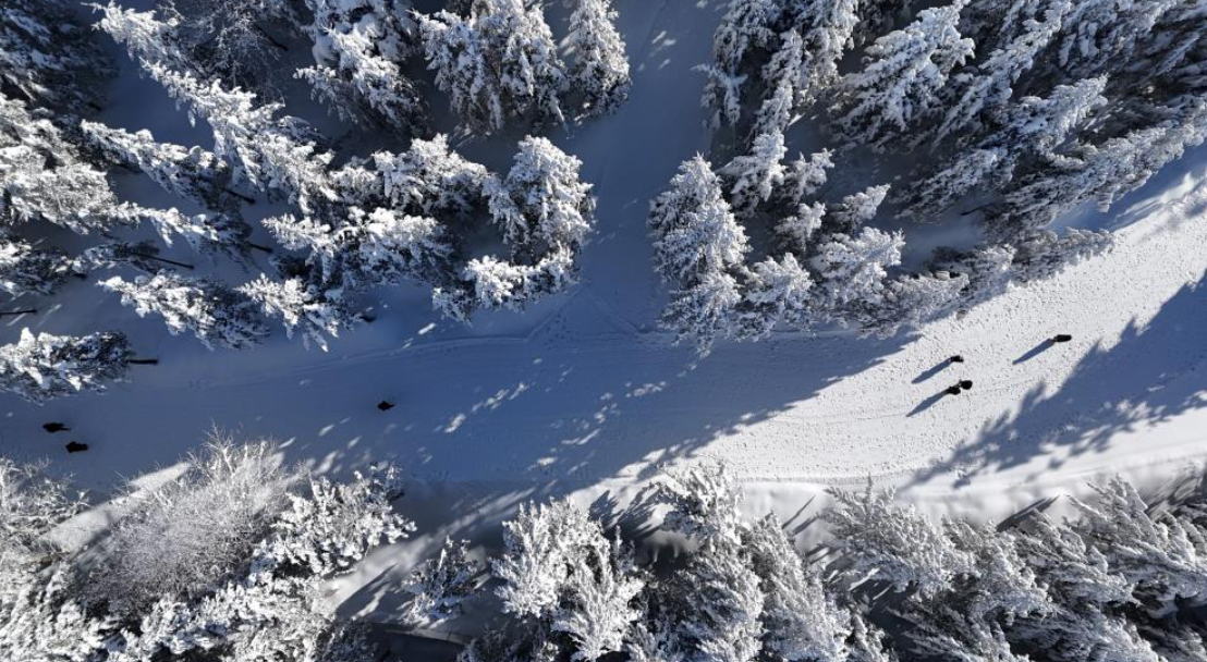 Kartepe'ye akın ettiler