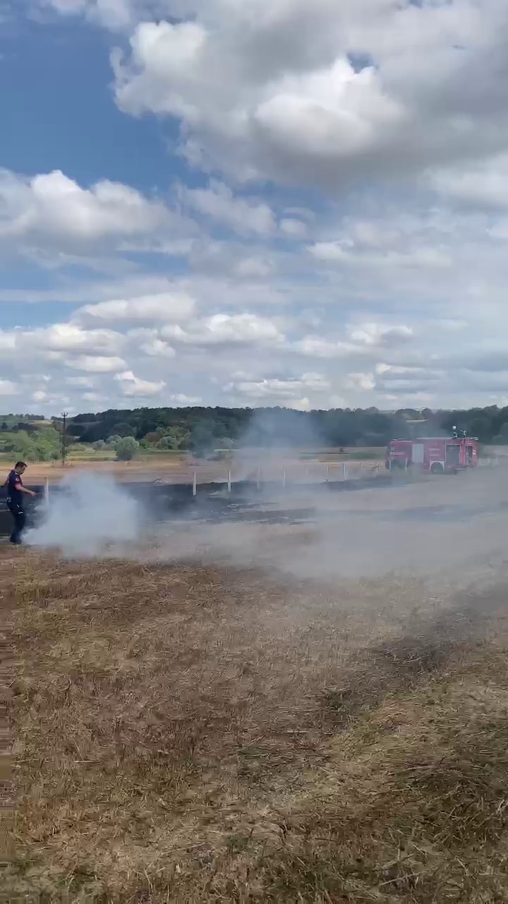 Kaynarca'da anız yangını