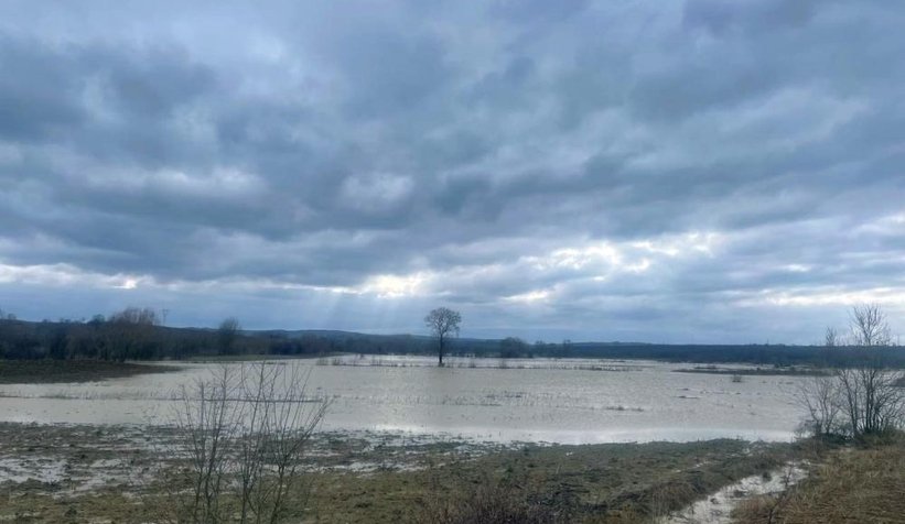 Kaynarca'da tarım arazileri sular altında kaldı