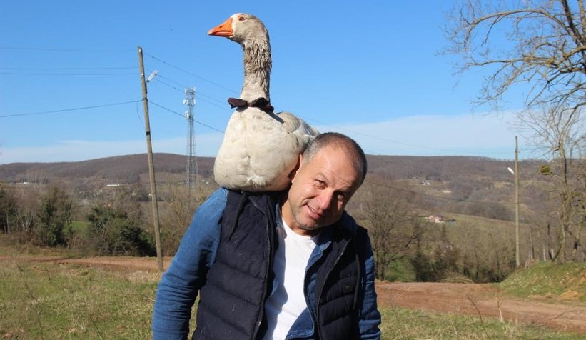 Kaz ile yol arkadaşlığı şaşırtıyor