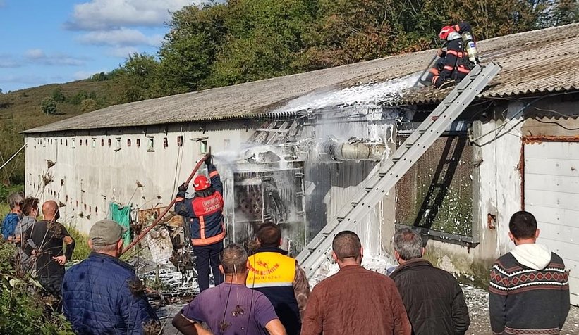 Kazan patladı, binlerce tavuk son anda kurtarıldı