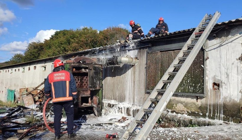 Kazan patladı, binlerce tavuk son anda kurtarıldı