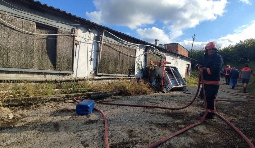 Kazan patladı, binlerce tavuk son anda kurtarıldı