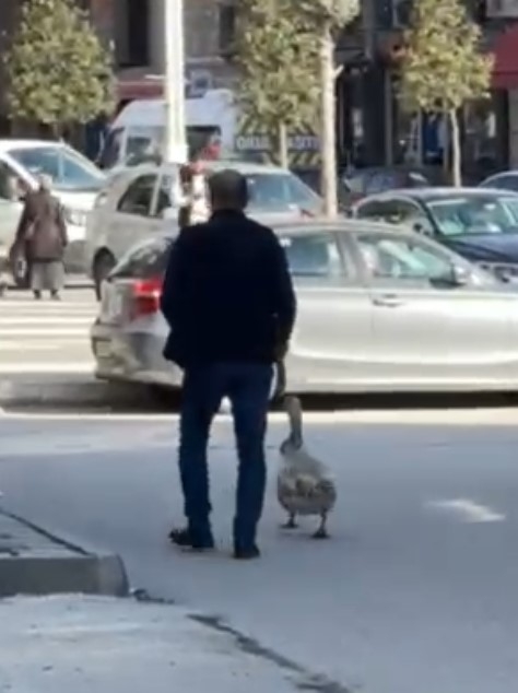 kazi-ile-cark-caddesi-nde-yuruyus-yaptirhb0ruzxvg