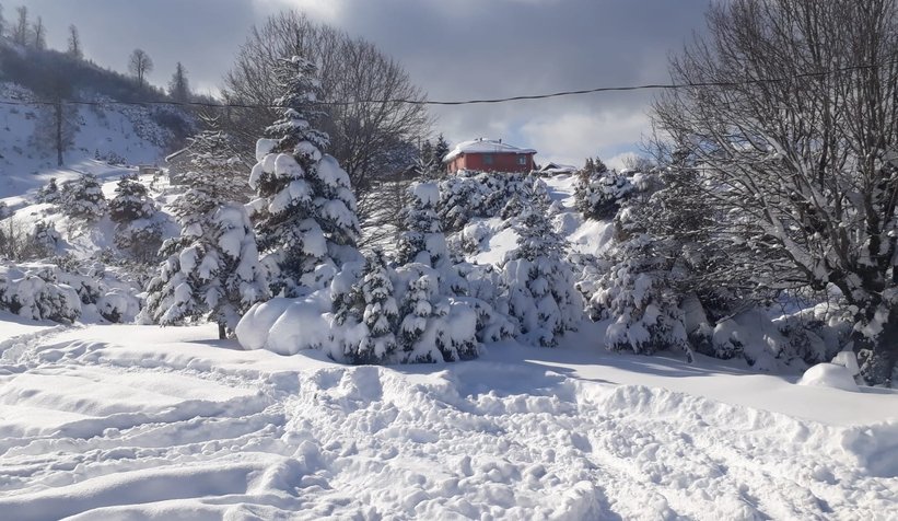Kampçıların kurtarılma görüntüleri ortaya çıktı