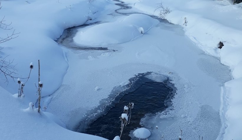 Kampçıların kurtarılma görüntüleri ortaya çıktı