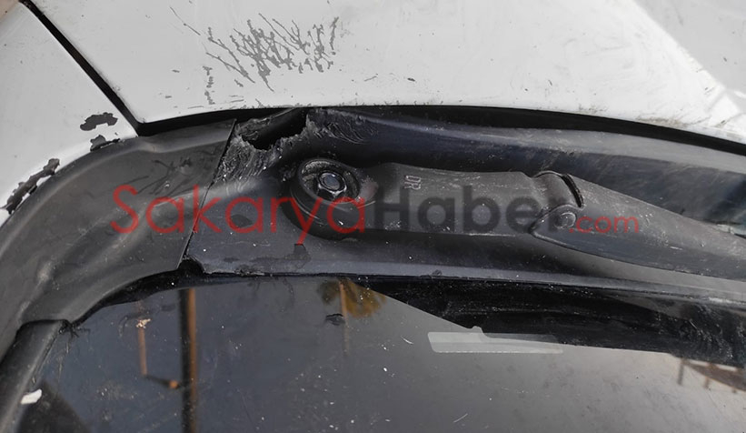 Kedi kovalayan sokak köpekleri otomobili parçaladı