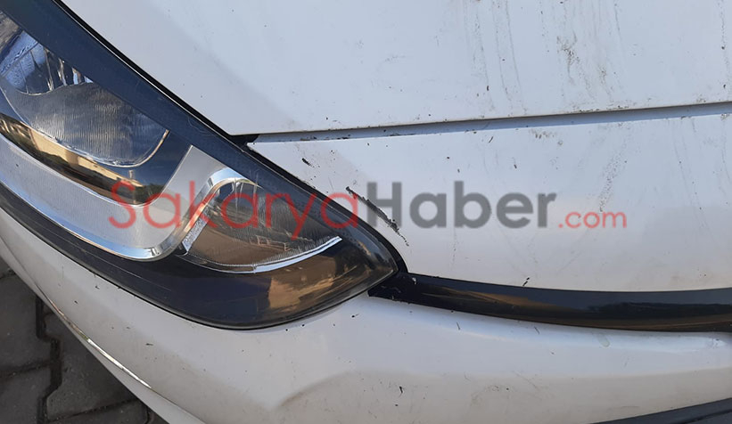 Kedi kovalayan sokak köpekleri otomobili parçaladı