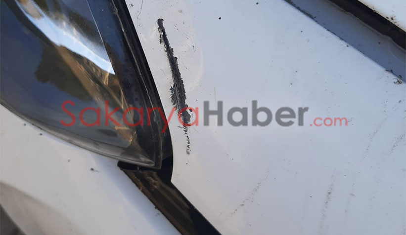 Kedi kovalayan sokak köpekleri otomobili parçaladı