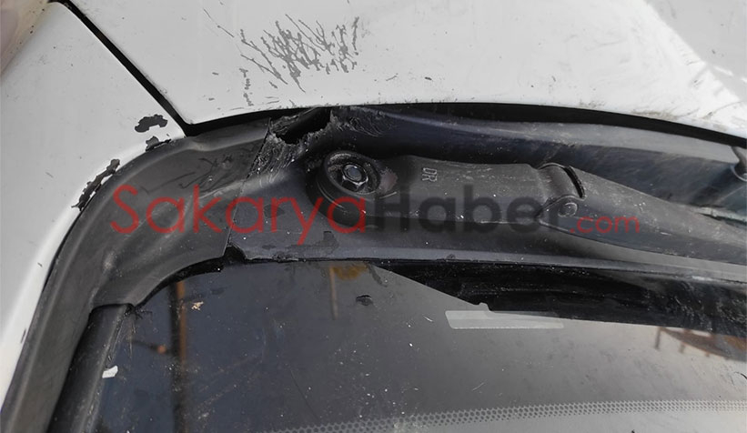 Kedi kovalayan sokak köpekleri otomobili parçaladı