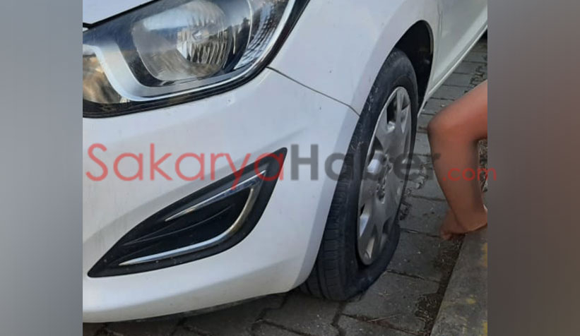 Kedi kovalayan sokak köpekleri otomobili parçaladı