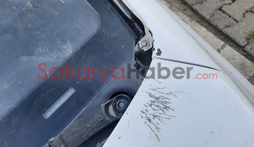 Kedi kovalayan sokak köpekleri otomobili parçaladı