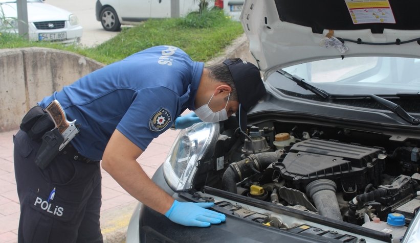 Kedi kurtarma operasyonu