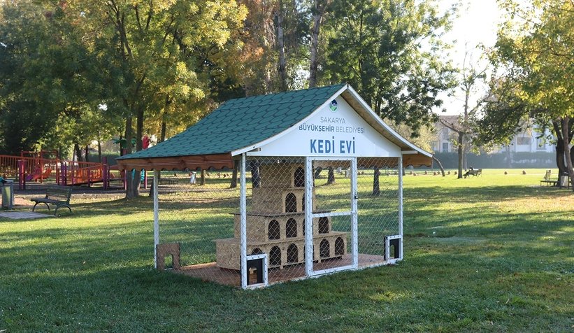 Kediler bu projeyle daha güvende