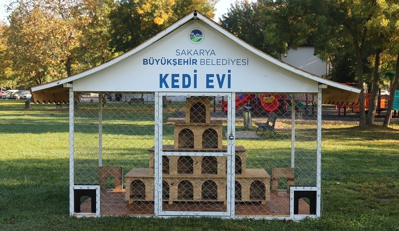 Kediler bu projeyle daha güvende