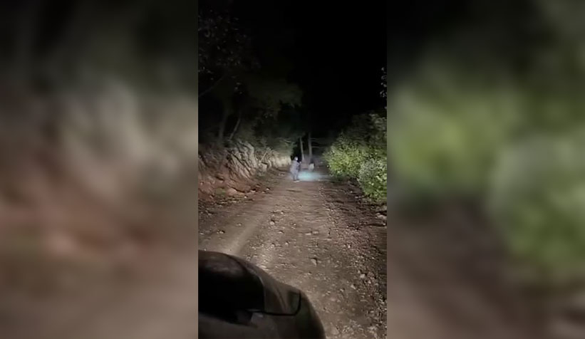 kendisine saldıran domuzdan kıl payı kurtuldu