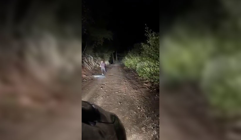 kendisine saldıran domuzdan kıl payı kurtuldu