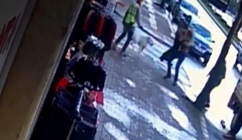 Kendisini ısıran köpeğe şefkatle yaklaşmıştı, ödül aldı