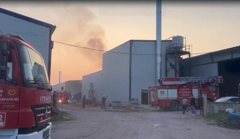 Kereste fabrikasında korkutan yangın