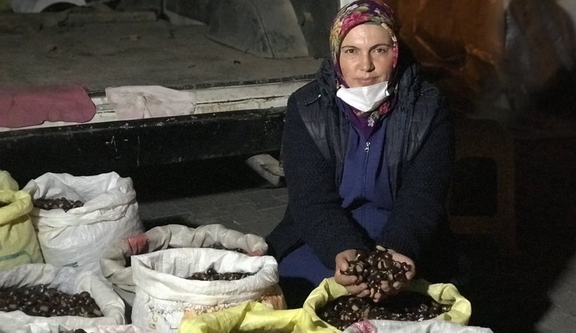 Kestane fiyatları el yakıyor