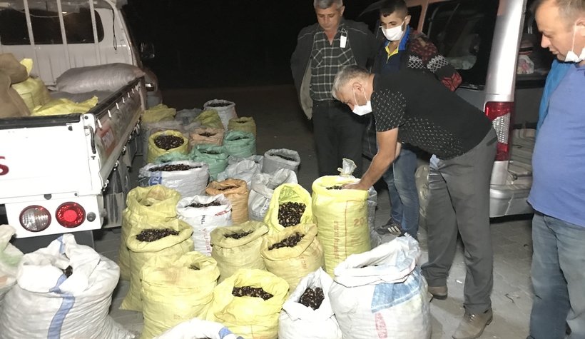 Kestane fiyatları el yakıyor