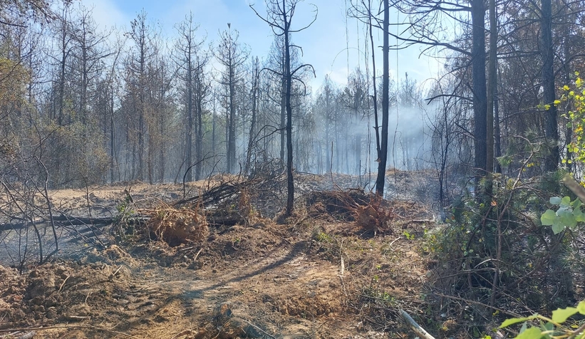 kirik-bacakla-orman-yanginina-mudahaleye-katildis1hdtjrnww