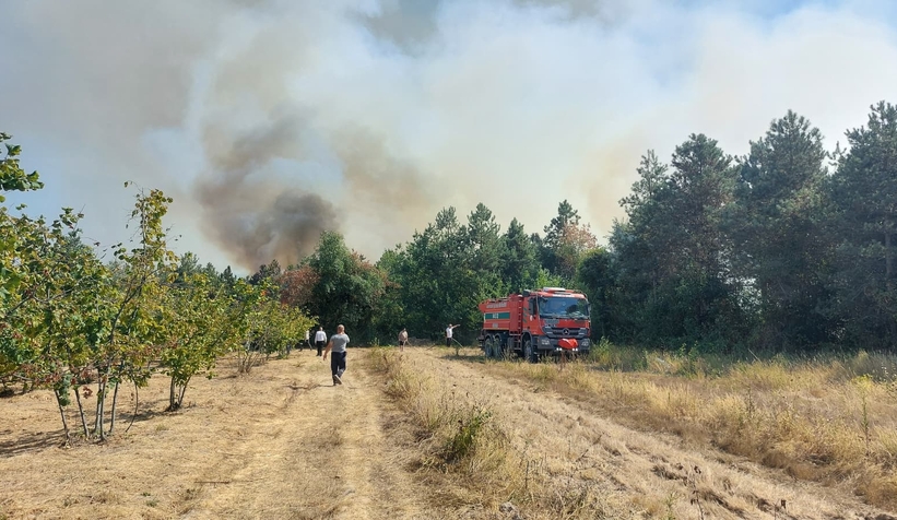 kirik-bacakla-orman-yanginina-mudahaleye-katildis1hdtjrnww