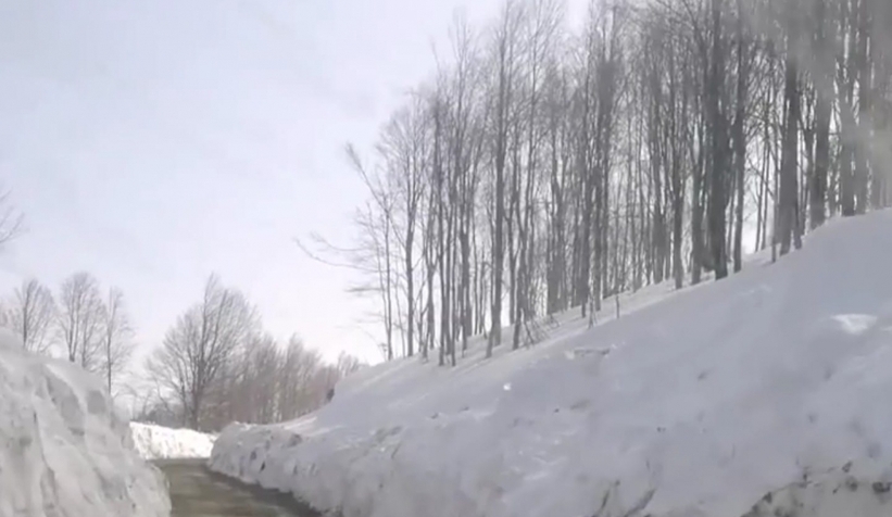 Kirpiyan Yaylası'nda doğuyu aratmayan manzara