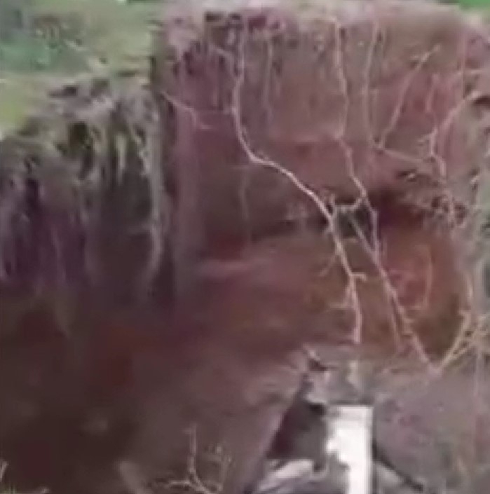 Kocaali'de mezarlıkta korkutan olay