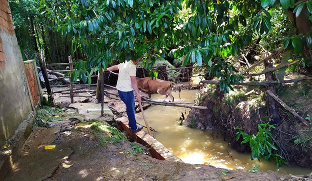 Kocaali'de sel kurbanlıkları da vurdu