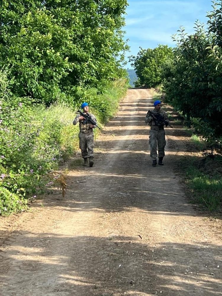 Komandolar meyveleri korumak için bahçelerde
