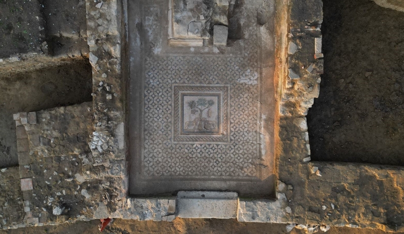 Komşuda bulundu; Heyecan uyandırdı