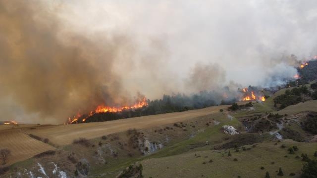 Komşuda büyük orman yangını