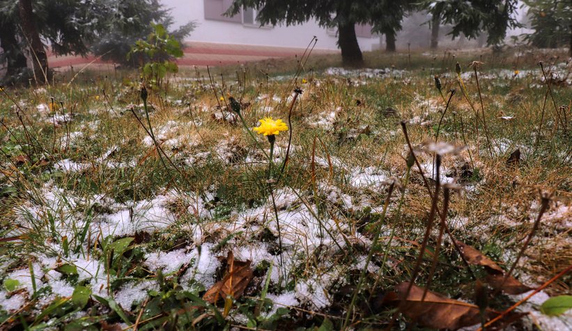 Komşuda ilk kar yağdı