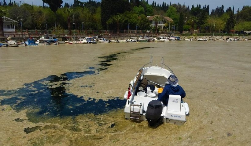 Komşuda korkutan görüntü; Tamamen kapladı