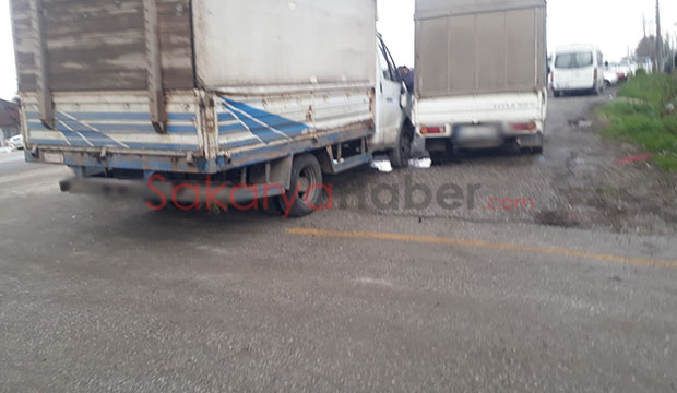 kopege-carpmamak-isterken-karsi-yone-gecip-kamyonete-carptizmpju3jxd0