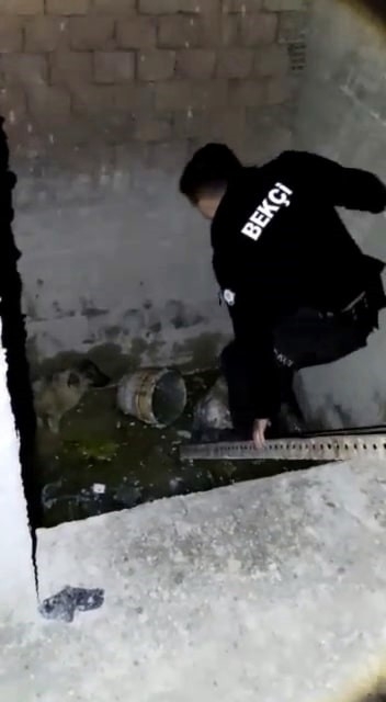 kopegi-bekciler-kurtardiree5ohfmvz