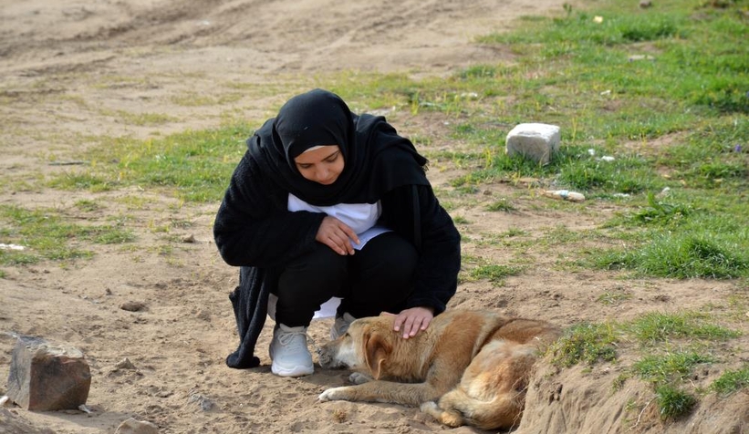 Köpeği ile sahibinin öldürülmekle tehdit edildiği iddiası