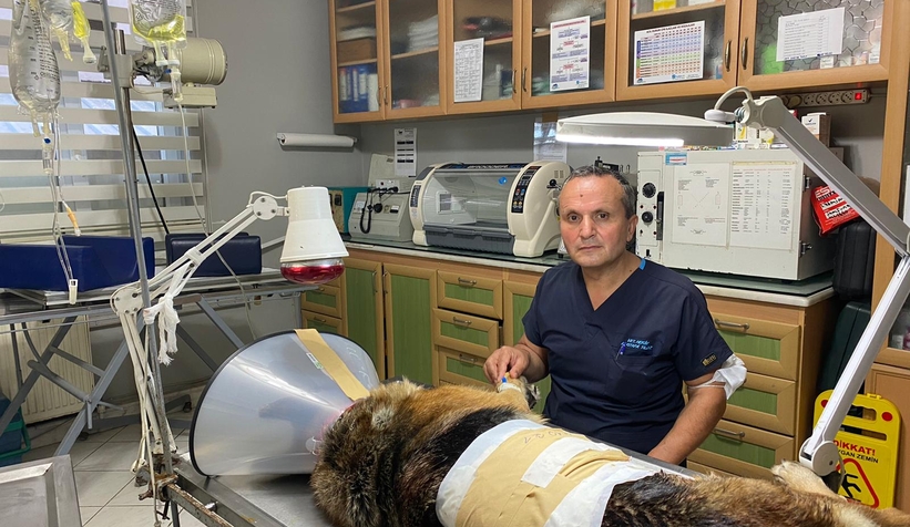 kopegin-karnindan-2-kilogram-tumor-cikarildiv1c1zmeycx