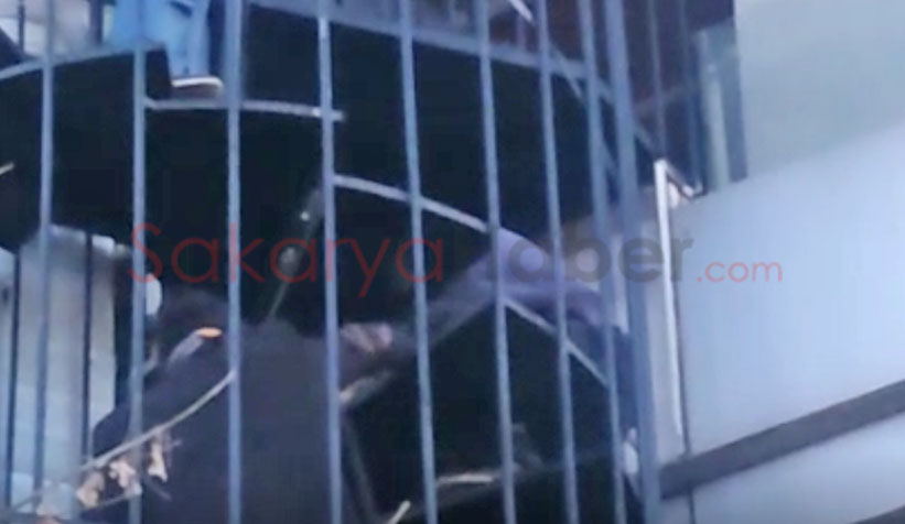 Köpek yangın merdiveninde sıkıştı