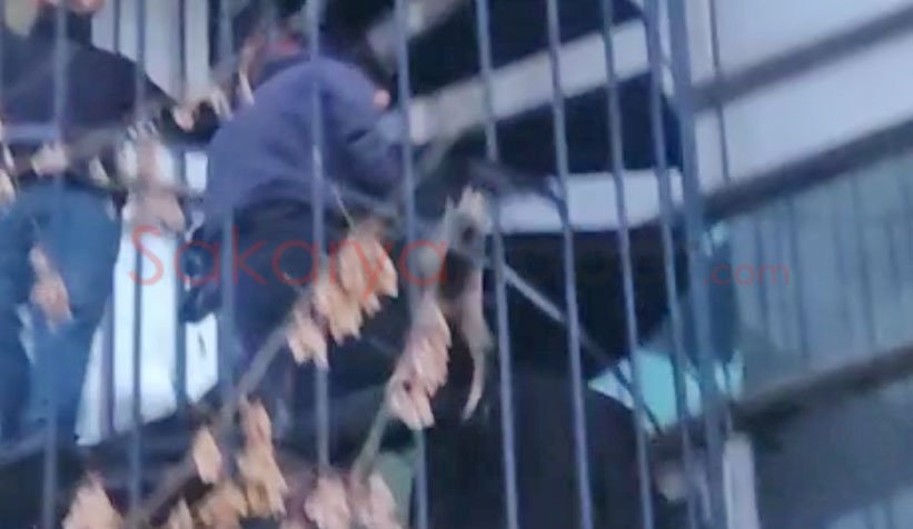 Köpek yangın merdiveninde sıkıştı