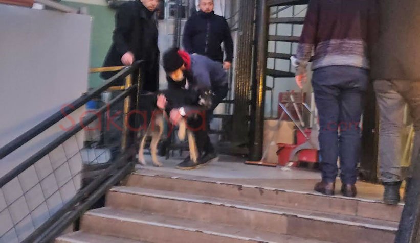 Köpek yangın merdiveninde sıkıştı