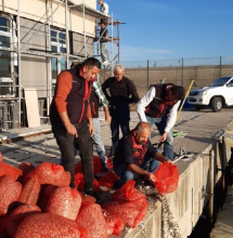 kum-midyesi-avcilarina-operasyonb0flrw10su