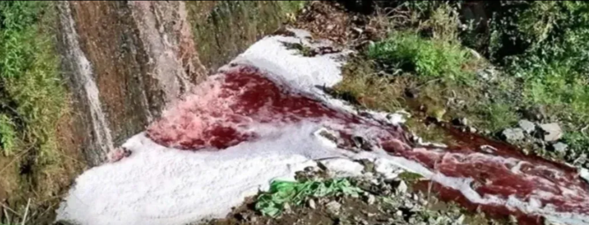 Kurban kanlarını dereye akıttılar